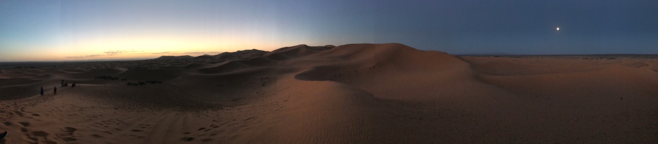 明るくなってきてようやく全貌が見えてきました。サハラ砂漠じゃ！