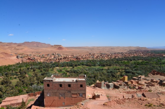 砂漠の中にオアシス